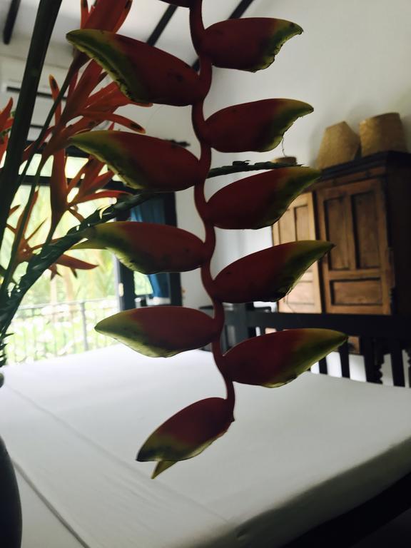 גאלה Indika'S Residence מראה חיצוני תמונה